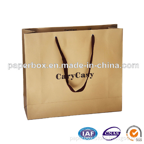 Paper Shopping Bag (FXS-240)